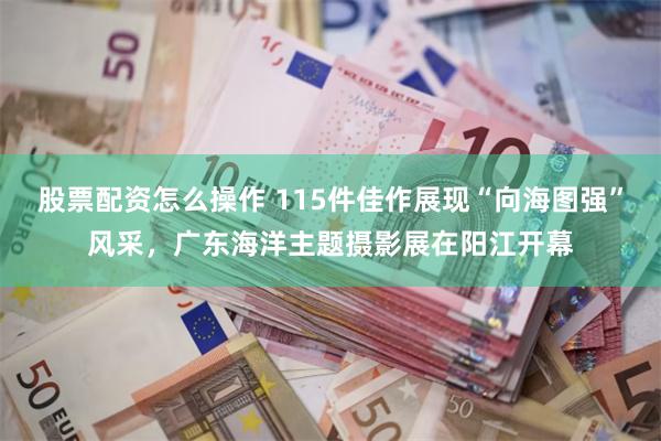 股票配资怎么操作 115件佳作展现“向海图强”风采，广东海洋主题摄影展在阳江开幕