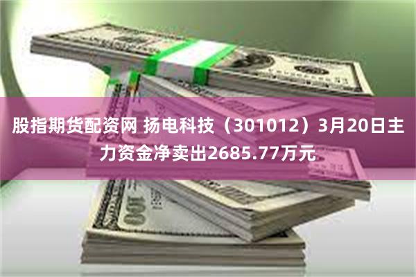 股指期货配资网 扬电科技（301012）3月20日主力资金净卖出2685.77万元