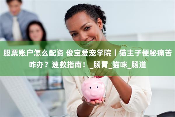 股票账户怎么配资 俊宝爱宠学院丨猫主子便秘痛苦咋办？速救指南！_肠胃_猫咪_肠道