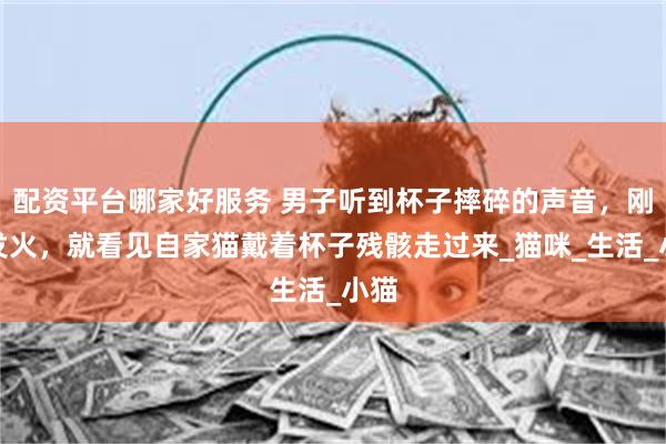 配资平台哪家好服务 男子听到杯子摔碎的声音，刚要发火，就看见自家猫戴着杯子残骸走过来_猫咪_生活_小猫