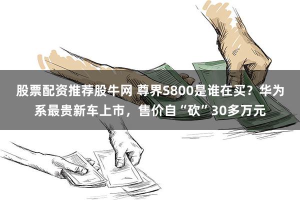股票配资推荐股牛网 尊界S800是谁在买？华为系最贵新车上市，售价自“砍”30多万元