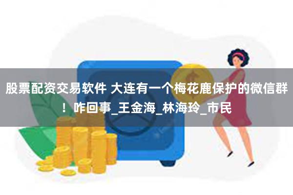 股票配资交易软件 大连有一个梅花鹿保护的微信群！咋回事_王金海_林海玲_市民