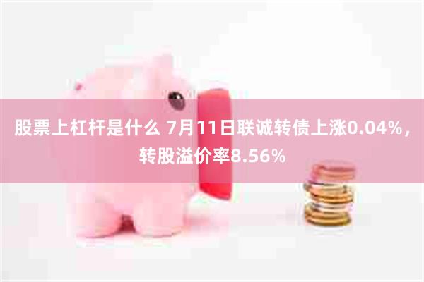 股票上杠杆是什么 7月11日联诚转债上涨0.04%，转股溢价率8.56%