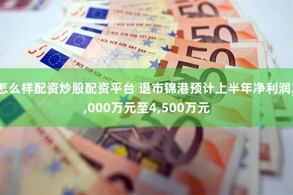 怎么样配资炒股配资平台 退市锦港预计上半年净利润3,000万元至4,500万元