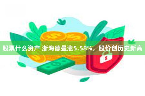 股票什么资产 浙海德曼涨5.58%，股价创历史新高