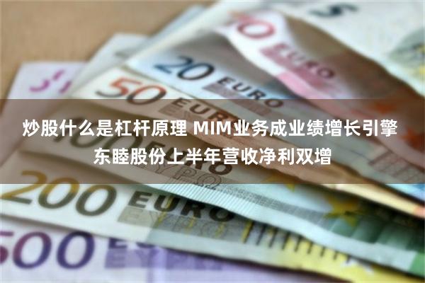 炒股什么是杠杆原理 MIM业务成业绩增长引擎 东睦股份上半年营收净利双增