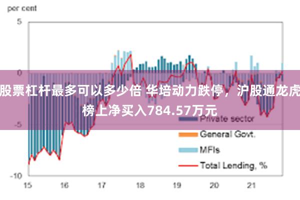 股票杠杆最多可以多少倍 华培动力跌停，沪股通龙虎榜上净买入784.57万元