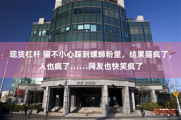 现货杠杆 猫不小心踩到螺蛳粉里,结果猫疯了,人也疯了……网友也快笑疯了